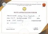 Certificate of the mathematical modelling competition, first place